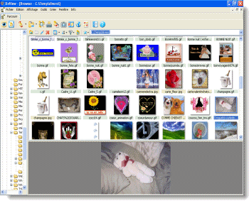 XNView