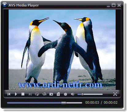AVS DVD Player 