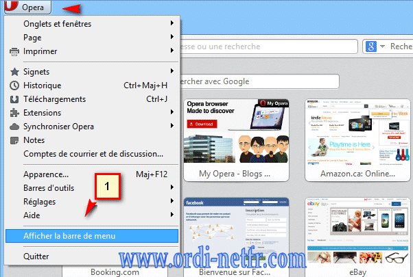 Opera Download Free - 105.0.4970.48